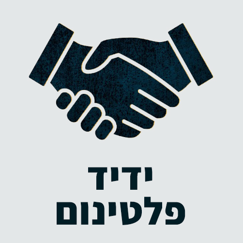 ידיד פלטינום קטמון