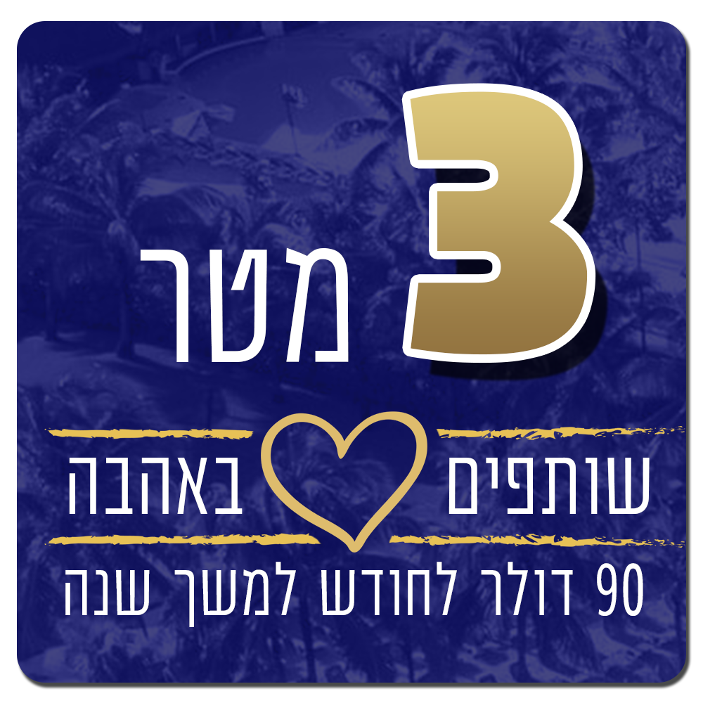 3 מטר של אהבה - 90 דולר בחודש למשך שנה - 90 $