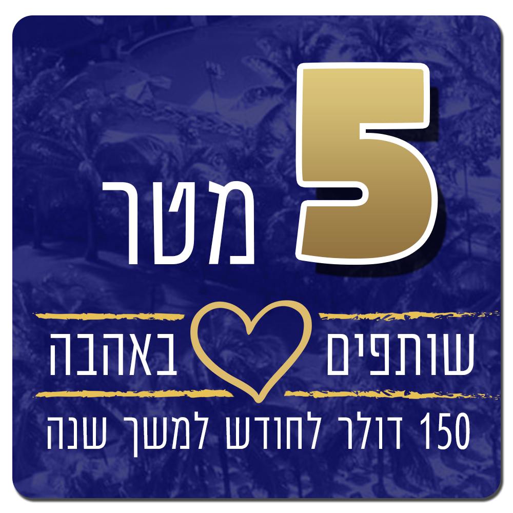 5 מטרים של אהבה - 150 שולר בחודש למשך שנה - 150 $