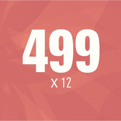 499 ש"ח לחודש למשך שנה - 499 ₪