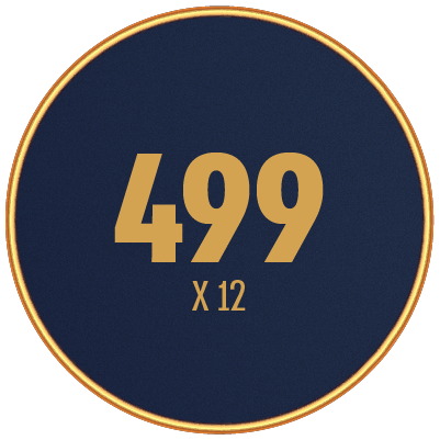 499 ש"ח לחודש למשך שנה - 499 ₪