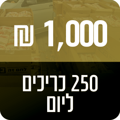 250 כריכים ליום - 1000 ₪