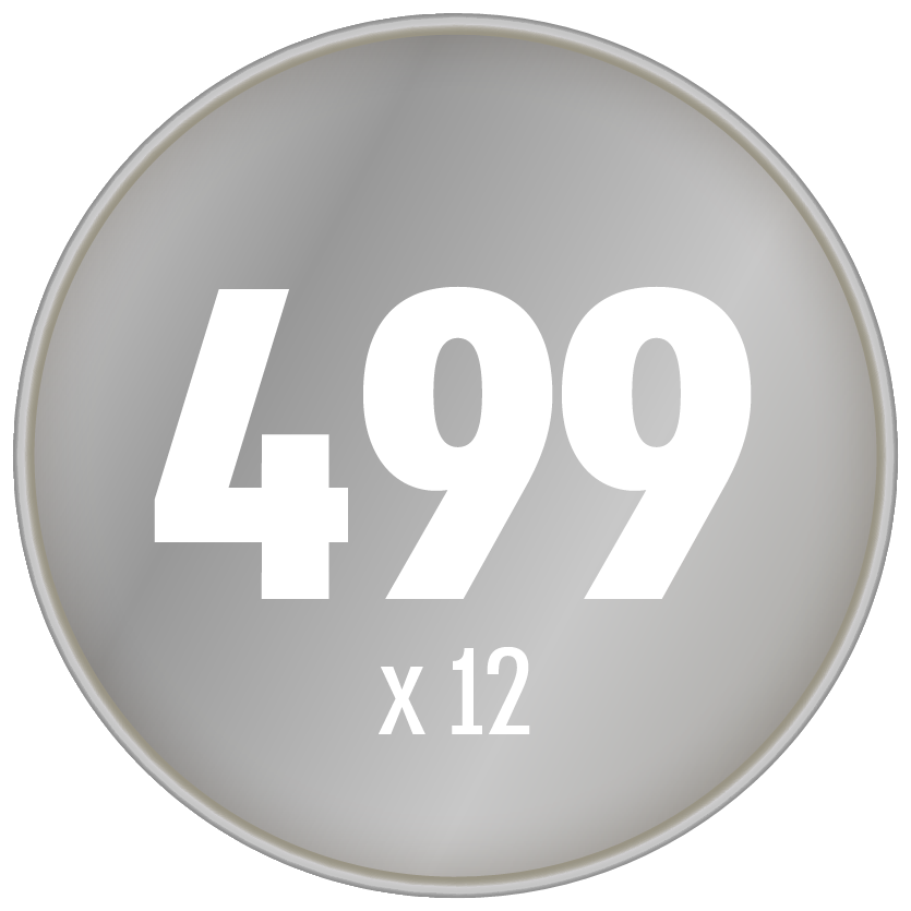 499 ש"ח לחודש למשך שנה - 499 ₪
